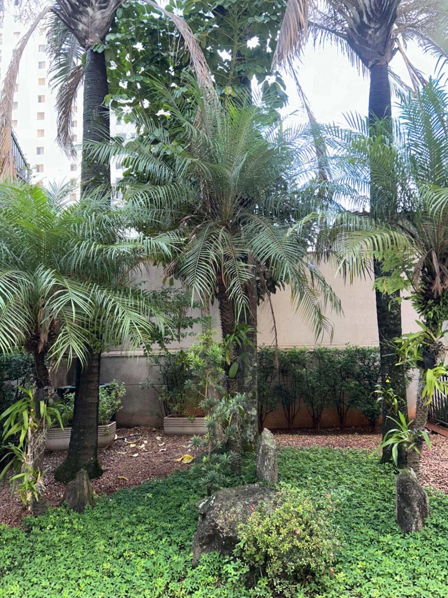 Flat Exclusivo No Mercure Moema - 5 Min Do Aeroporto De Congonhas * São Paulo