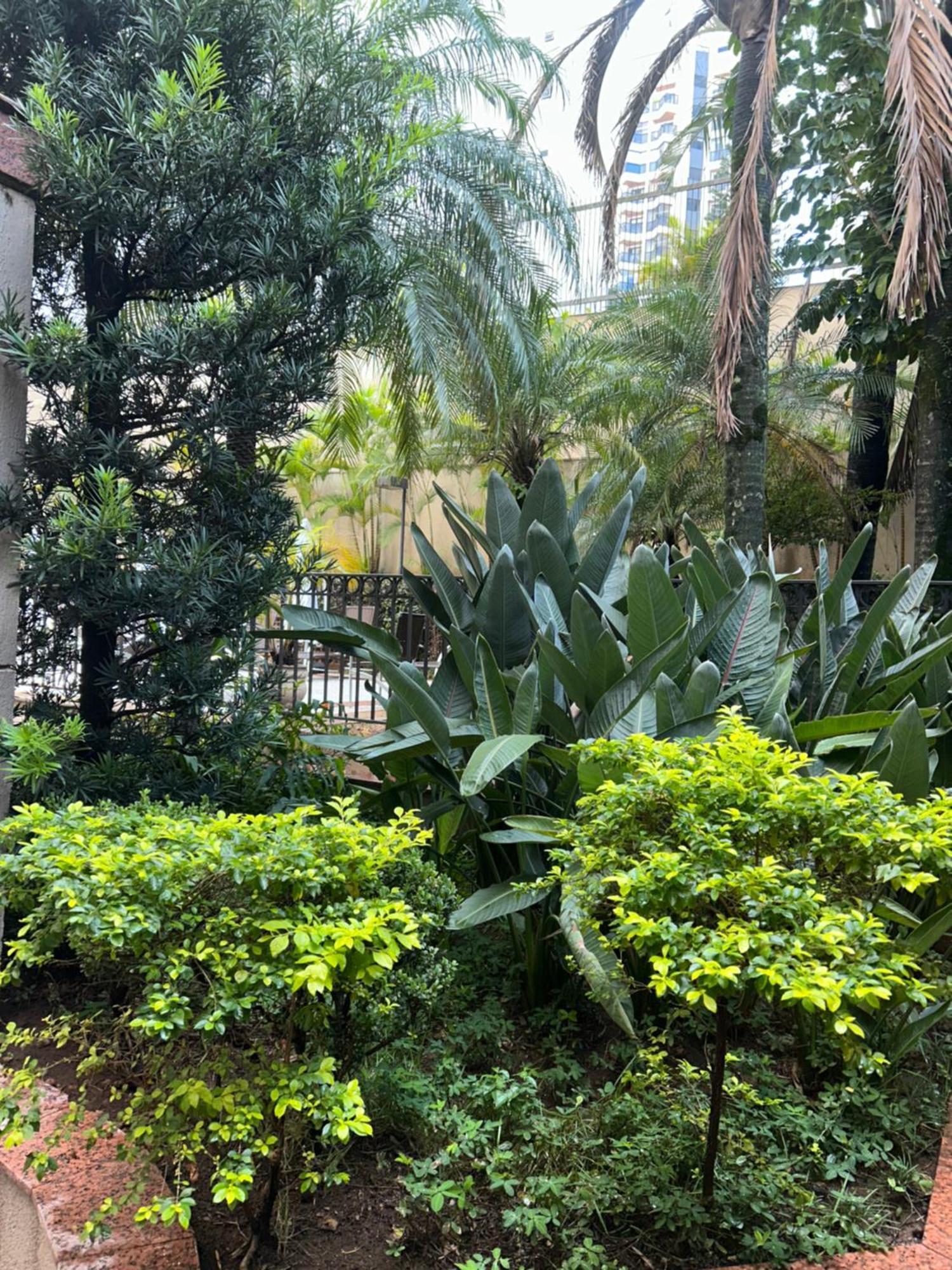 Flat Exclusivo No Mercure Moema - 5 Min Do Aeroporto De Congonhas São Paulo